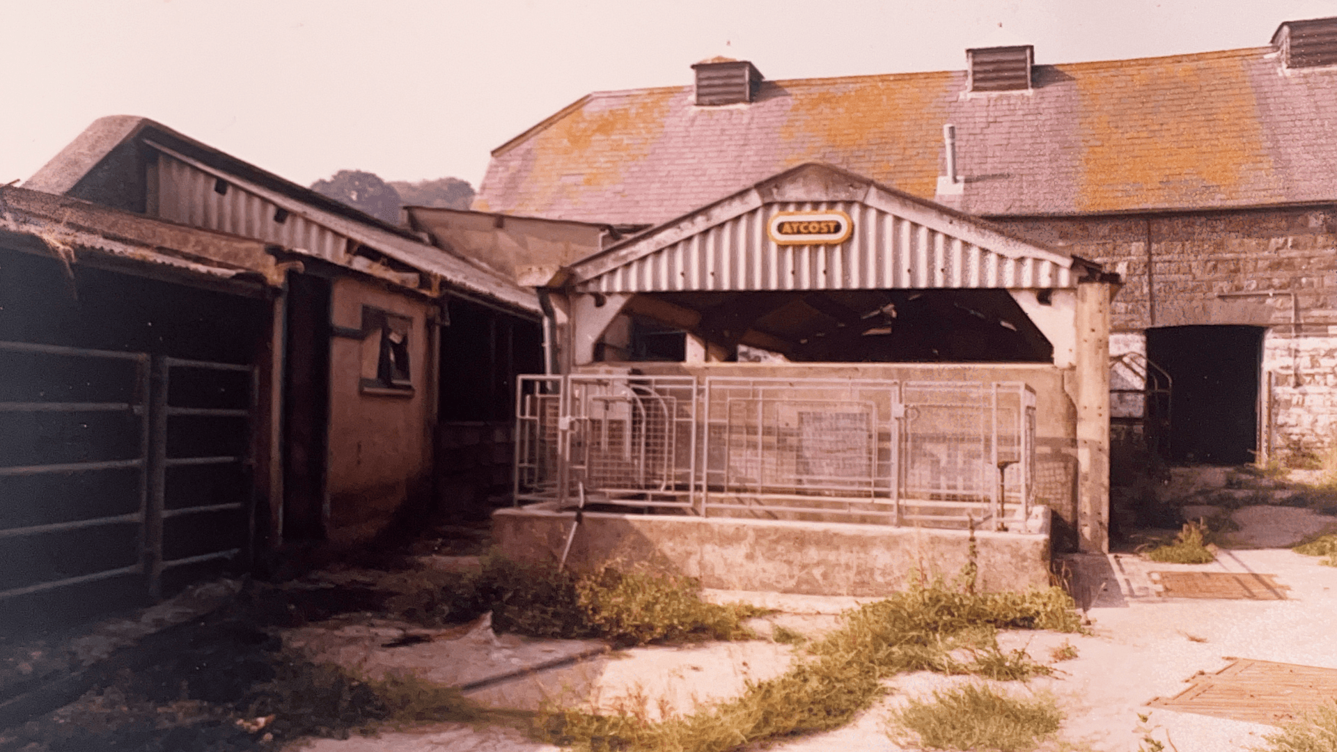 Mwldan Courtyard