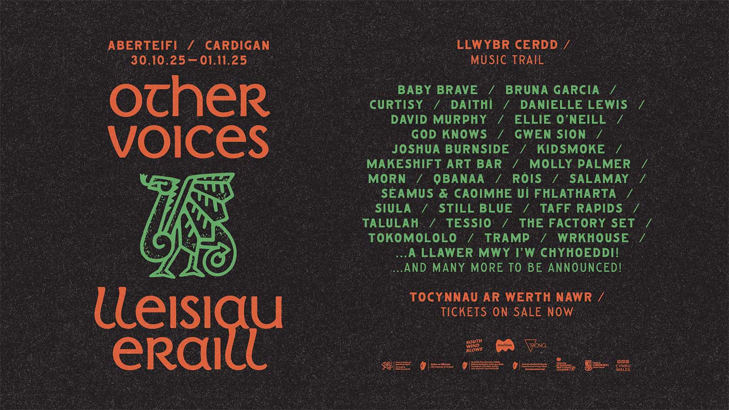 Other Voices Cardigan 2025 first wave announcement