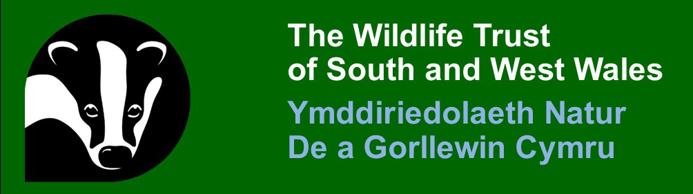 THE WILDLIFE TRUST OF SOUTH AND WEST WALES